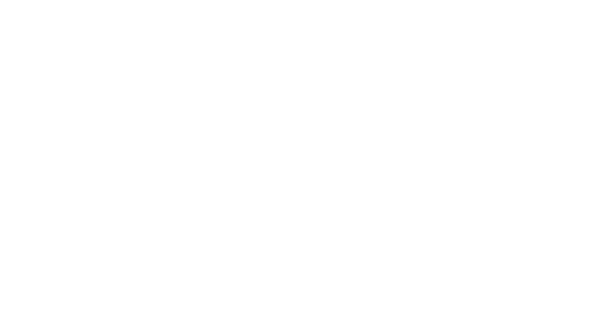 Supreme Software Award 2016 White