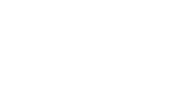 Great User Expierence Award 2017 White